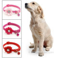 Collier de chien de compagnie collier collier collier